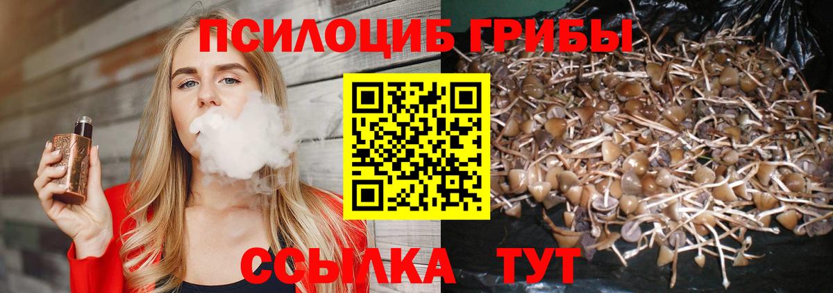 Псилоцибиновые грибы MAGIC MUSHROOMS  Вход с VPN  Аксай 